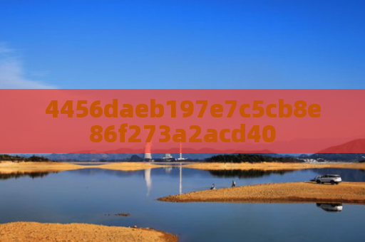 4456daeb197e7c5cb8e86f273a2acd40