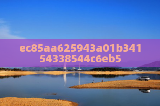 ec85aa625943a01b34154338544c6eb5