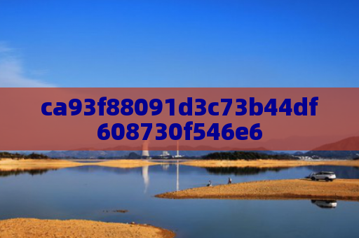 ca93f88091d3c73b44df608730f546e6