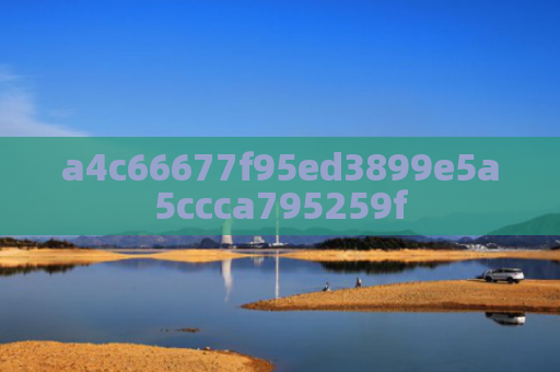 a4c66677f95ed3899e5a5ccca795259f