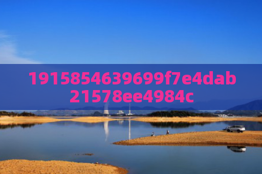 1915854639699f7e4dab21578ee4984c