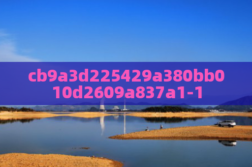 cb9a3d225429a380bb010d2609a837a1-1