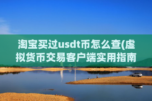 淘宝买过usdt币怎么查(虚拟货币交易客户端实用指南)
