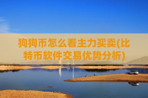 狗狗币怎么看主力买卖(比特币软件交易优势分析)