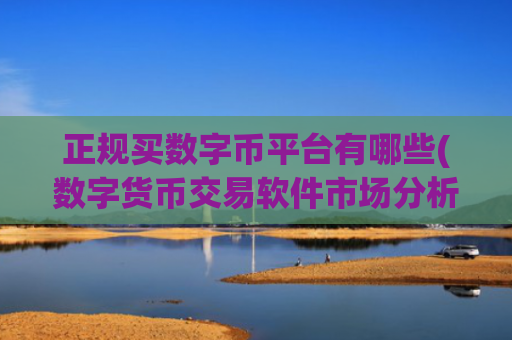 正规买数字币平台有哪些(数字货币交易软件市场分析)