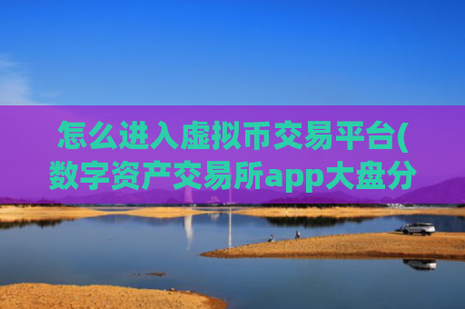 怎么进入虚拟币交易平台(数字资产交易所app大盘分析)