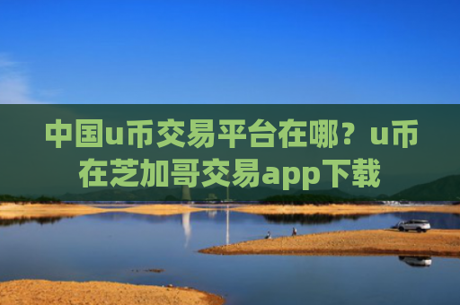中国u币交易平台在哪？u币在芝加哥交易app下载