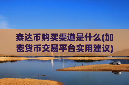 泰达币购买渠道是什么(加密货币交易平台实用建议)