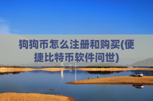 狗狗币怎么注册和购买(便捷比特币软件问世)