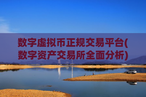 数字虚拟币正规交易平台(数字资产交易所全面分析)