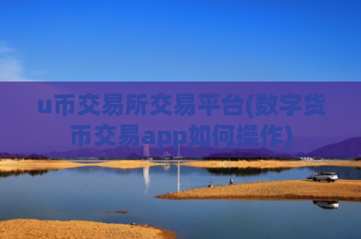 u币交易所交易平台(数字货币交易app如何操作)