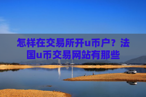 怎样在交易所开u币户？法国u币交易网站有那些