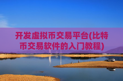 开发虚拟币交易平台(比特币交易软件的入门教程)