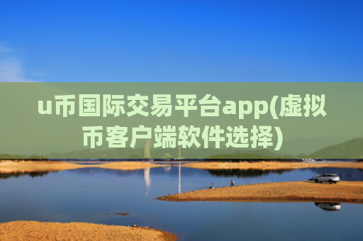 u币国际交易平台app(虚拟币客户端软件选择)