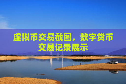 虚拟币交易截图，数字货币交易记录展示