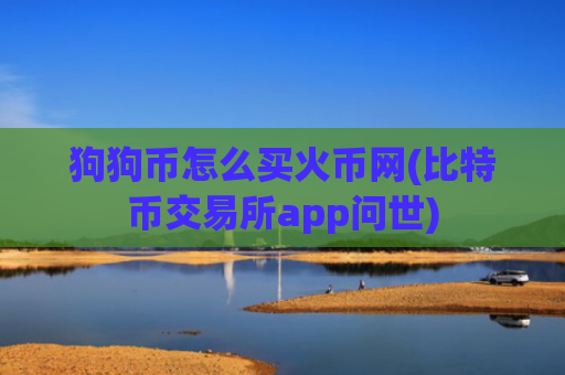 狗狗币怎么买火币网(比特币交易所app问世)