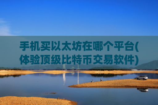 手机买以太坊在哪个平台(体验顶级比特币交易软件)