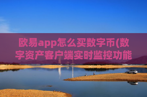 欧易app怎么买数字币(数字资产客户端实时监控功能)