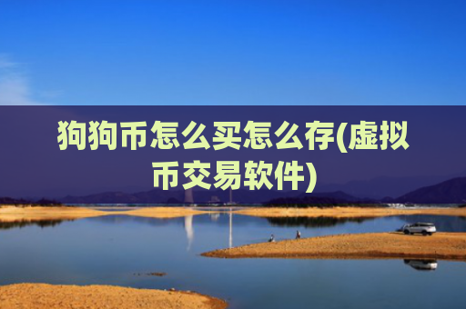 狗狗币怎么买怎么存(虚拟币交易软件)