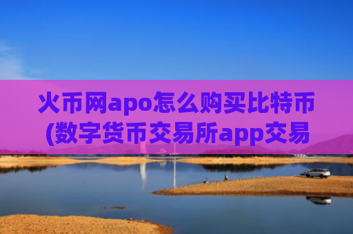 火币网apo怎么购买比特币(数字货币交易所app交易便利)