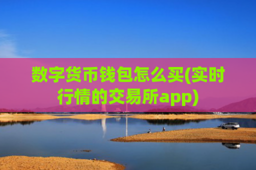 数字货币钱包怎么买(实时行情的交易所app)