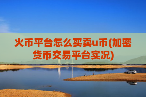 火币平台怎么买卖u币(加密货币交易平台实况)