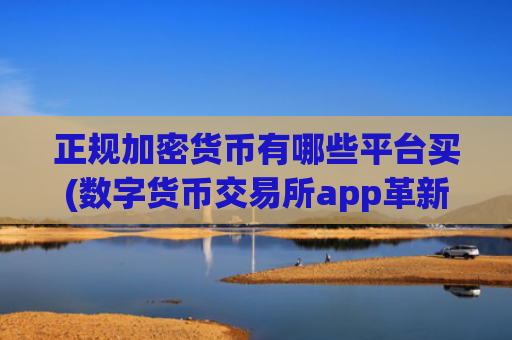 正规加密货币有哪些平台买(数字货币交易所app革新体验)