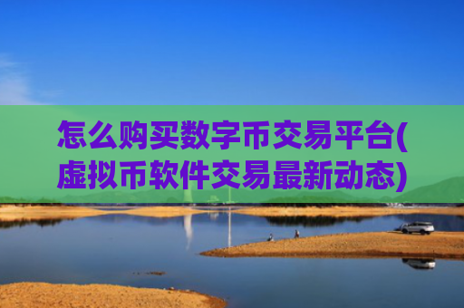 怎么购买数字币交易平台(虚拟币软件交易最新动态)