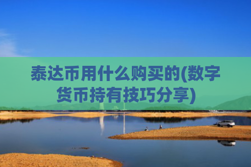 泰达币用什么购买的(数字货币持有技巧分享)