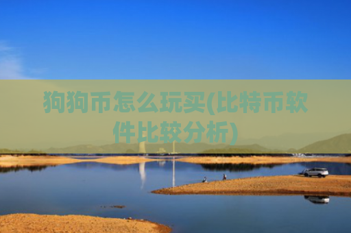 狗狗币怎么玩买(比特币软件比较分析)