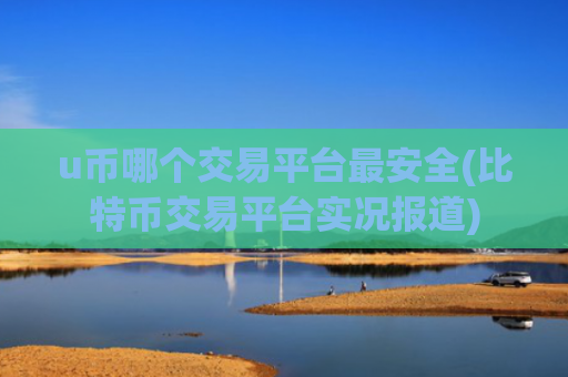u币哪个交易平台最安全(比特币交易平台实况报道)