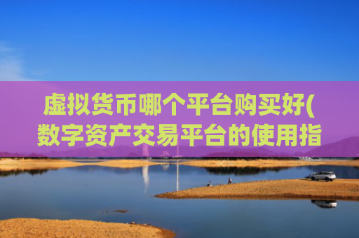 虚拟货币哪个平台购买好(数字资产交易平台的使用指南)
