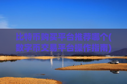 比特币购买平台推荐哪个(数字币交易平台操作指南)