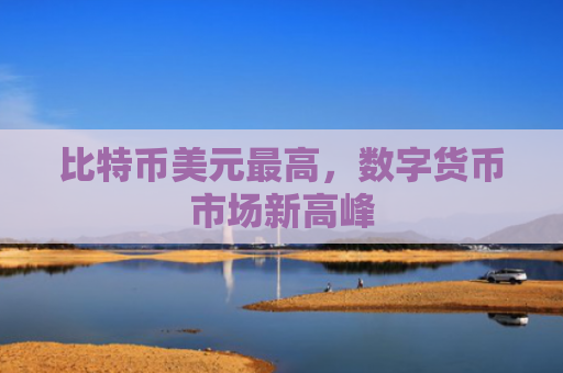 比特币美元最高，数字货币市场新高峰