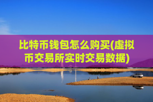 比特币钱包怎么购买(虚拟币交易所实时交易数据)