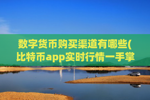 数字货币购买渠道有哪些(比特币app实时行情一手掌握)