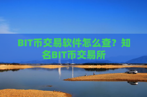 BIT币交易软件怎么查？知名BIT币交易所