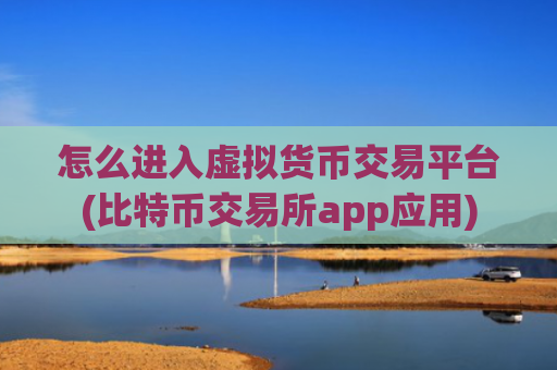 怎么进入虚拟货币交易平台(比特币交易所app应用)
