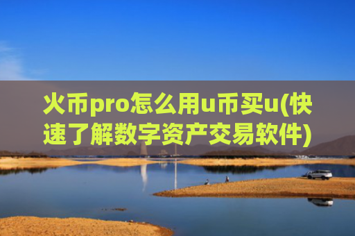 火币pro怎么用u币买u(快速了解数字资产交易软件)