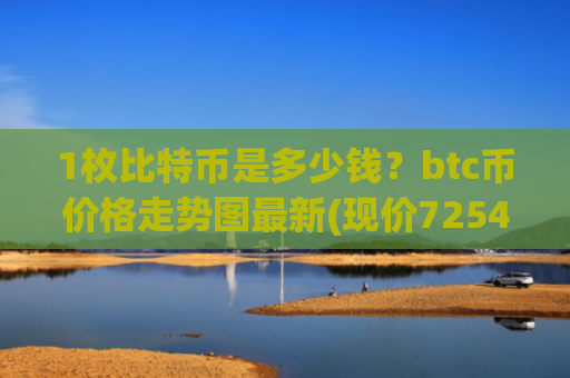 1枚比特币是多少钱？btc币价格走势图最新(现价725430.14元)