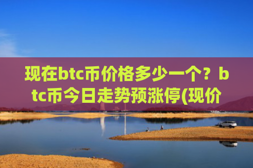 现在btc币价格多少一个？btc币今日走势预涨停(现价725889.89元)