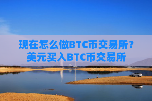 现在怎么做BTC币交易所？美元买入BTC币交易所