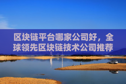 区块链平台哪家公司好，全球领先区块链技术公司推荐