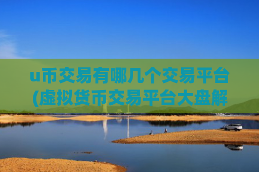 u币交易有哪几个交易平台(虚拟货币交易平台大盘解析)