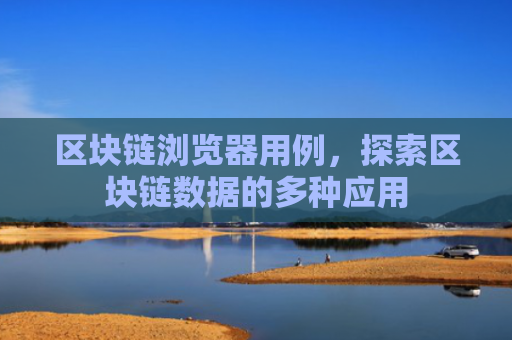区块链浏览器用例，探索区块链数据的多种应用