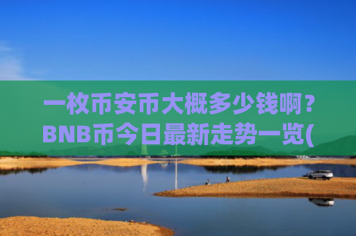一枚币安币大概多少钱啊？BNB币今日最新走势一览(现价5432.65元)