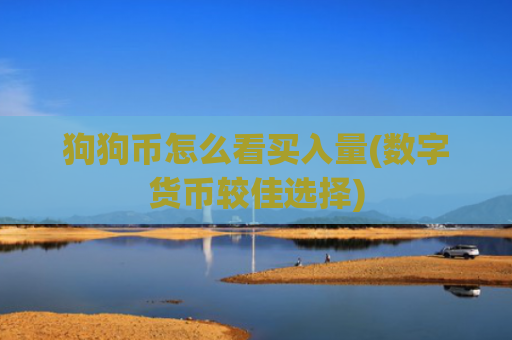 狗狗币怎么看买入量(数字货币较佳选择)