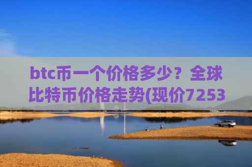btc币一个价格多少？全球比特币价格走势(现价725308.1元)