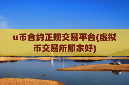 u币合约正规交易平台(虚拟币交易所那家好)