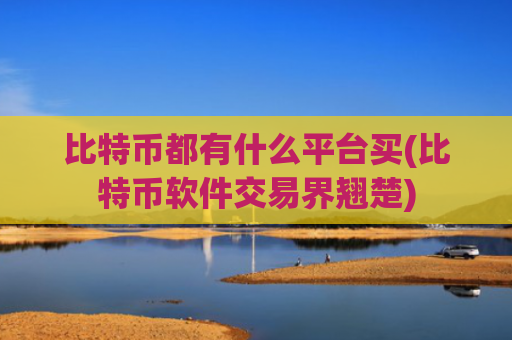 比特币都有什么平台买(比特币软件交易界翘楚)